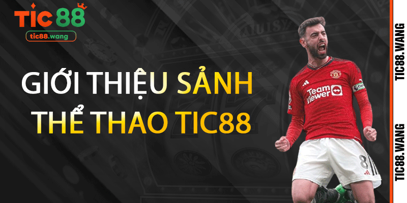 Giới thiệu sảnh Thể Thao TIC88
